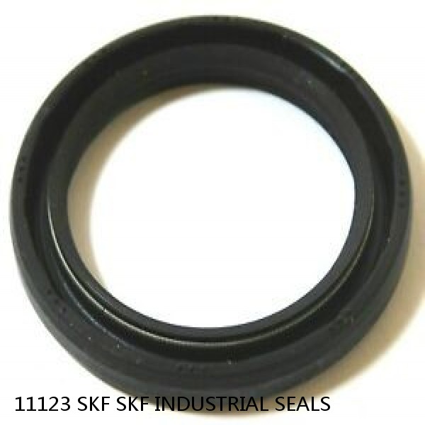 11123 SKF SKF INDUSTRIAL SEALS