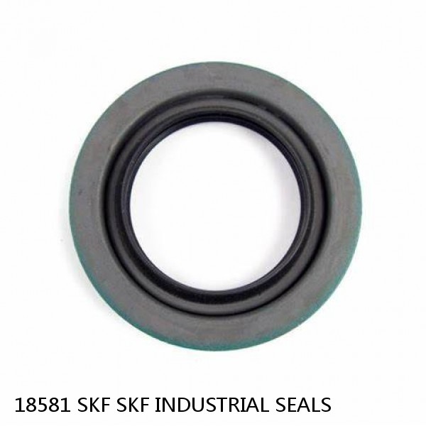 18581 SKF SKF INDUSTRIAL SEALS