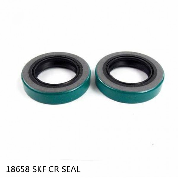 18658 SKF CR SEAL